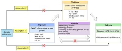 Inflammatory factors and risk of lung adenocarcinoma: a Mendelian randomization study mediated by blood metabolites